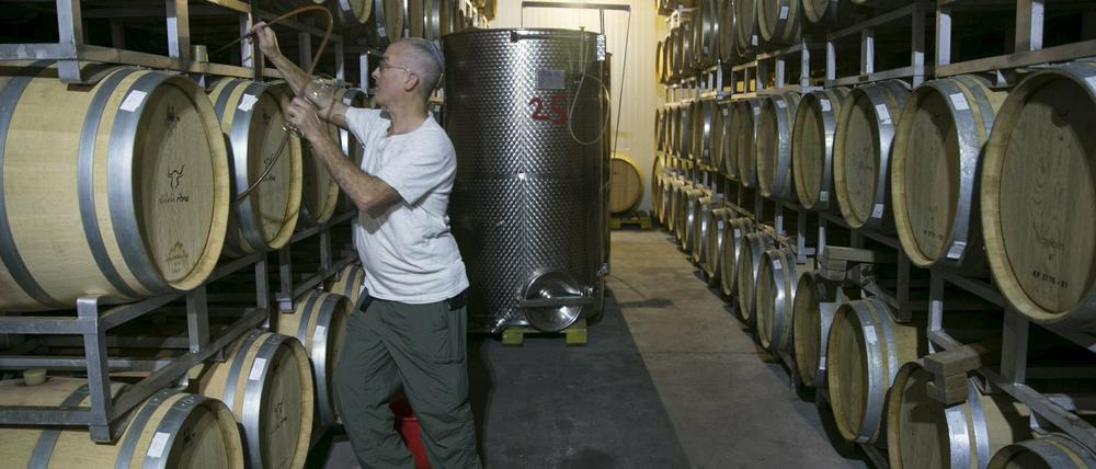 Produziert in den besetzten Gebieten: Auch dieser Wein, der nördlich von Ramallah angebaut wird, bekommt künftig eine besondere Kennzeichnung.