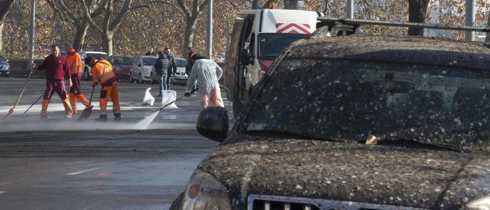 Römische Guano-Games: Der Starenkot hat die Stadt im Griff. Autos sind ihm schutzlos ausgeliefert.