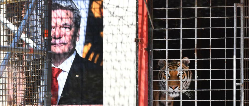 Vor dem Maxim Gorki Theater sollen Tiger in einer Kunstaktion angeblich "Flüchtlinge Fressen", wenn die Beförderung von Ausländern ohne Papiere nicht erlaubt wird.verbietet.