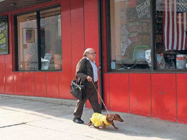 Drehbuchdozent Schmerz (Danny DeVito) in einer Szene von "Wiener Dog"