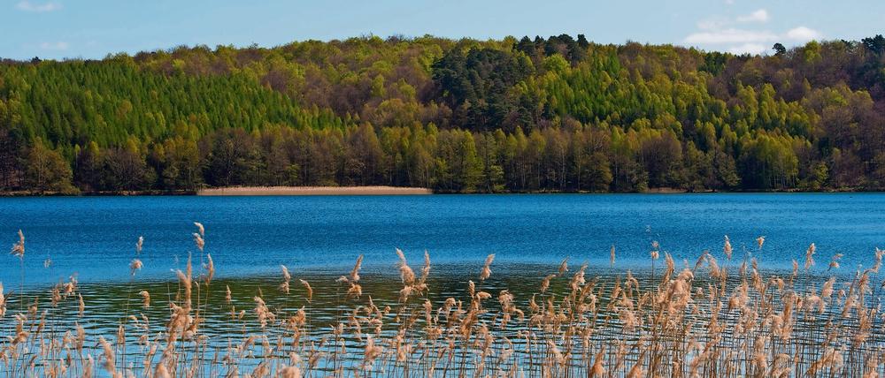Ausflugsziel. Am Werbellinsee ist im Juni ein Mädchen während einer Klassenfahrt tödlich verunglückt.