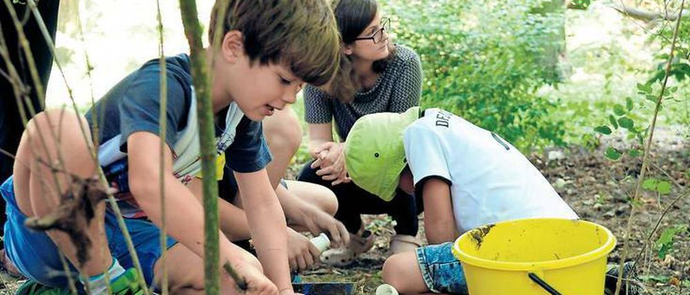 Grünes Klassenzimmer. Die Schüler der Waldklasse der Conrad-Schule in Wannsee beim Unterricht im Freien.