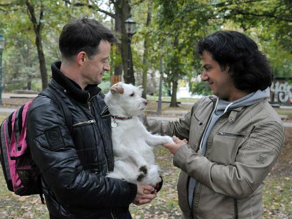 Bekanntschaft. Abdolrahman Omaren trifft im Tiergarten in Berlin Mischlingshündin Luba.