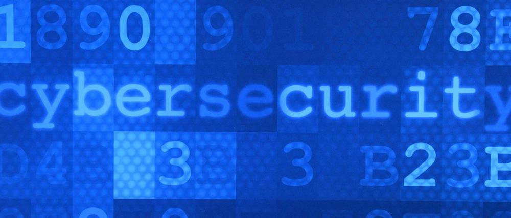 Bei der Konferenz in Potsdam ging es um Cybersicherheit.