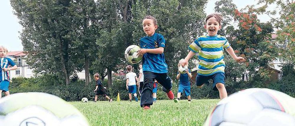 Am Ball. Das lange ungenutzte Areal an der Pankower Vinetastraße wird zum inklusiven Sportplatz.