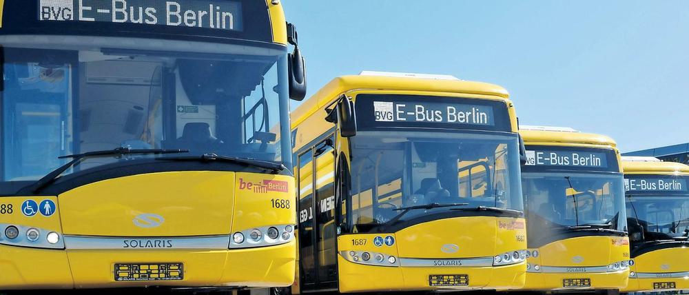 E-Busse der BVG.