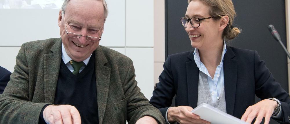 Die beiden Vorsitzenden der Bundestagsfraktion Alexander Gauland und Alice Weidel vor Beginn der Fraktionssitzung am Dienstag im Deutschen Bundestag.