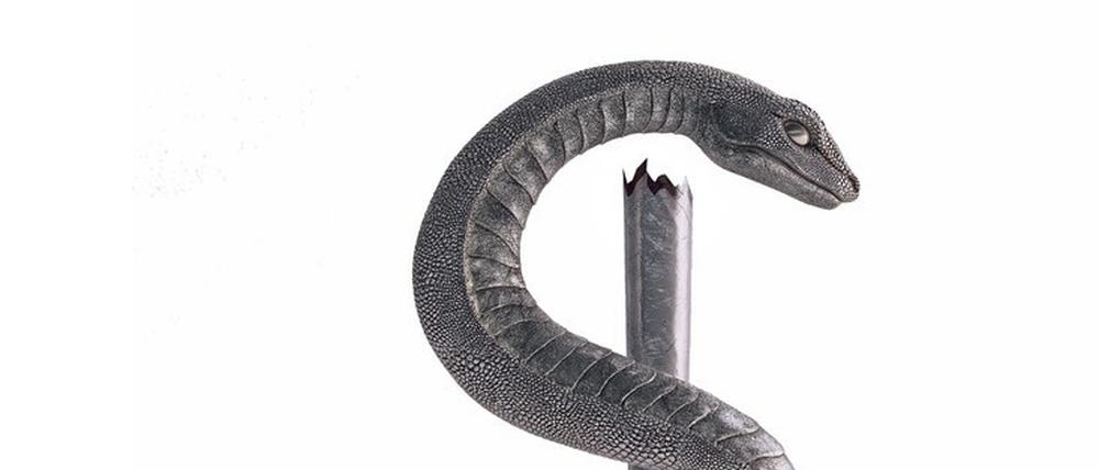 Den Stab gebrochen: Schlange und Stecken des Aeskulap sind das Symbol der Heilkunst. Doch die ist, sagt unser Gastautor, ziemlich beschädigt derzeit.