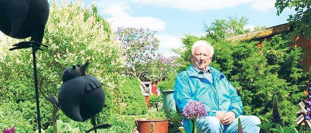Mein Haus, mein Garten, mein Stuhl. Wolfgang Wölfer kämpft für den Erhalt der Kleingartenanlage „Alte Baumschule“ am Volkspark Schönholzer Heide.