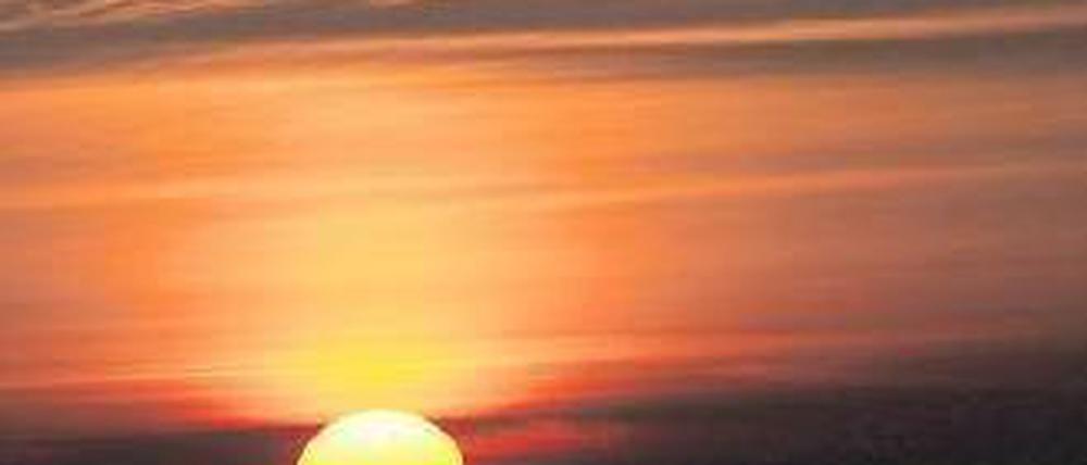 Hoffnungsschimmer. Nach einer Reihe von Insolvenzen in Berlin und Brandenburg gibt es nun erste Anzeichen für einen Sonnenaufgang in der Branche.Foto: dapd