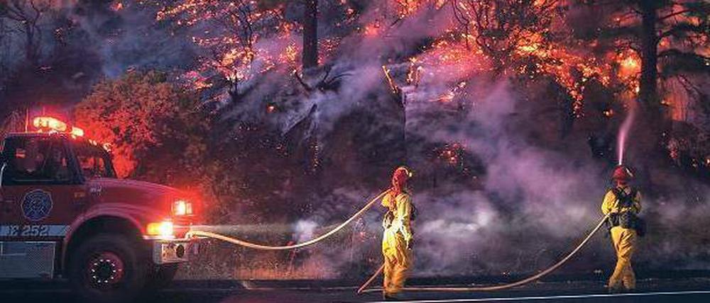 Feuerwehrleute kämpfen am Rande des Yosemite-Nationalparks gegen die Flammen. Waldbrände und Flutkatastrophen suchen derzeit viele Teile des Planeten heim.
