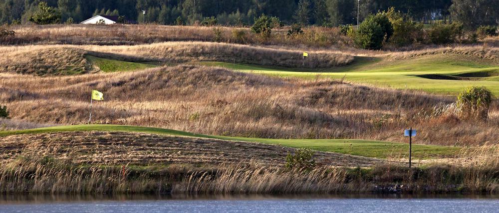Auf dem Faldo Course in Bad Saarow könnte 2022 der Ryder Cup stattfinden.