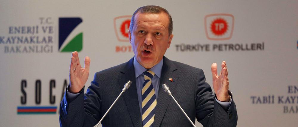 Der türkische Ministerpräsident Erdogan - ein Opfer deutscher Medien?