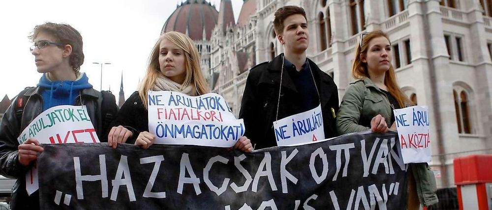 Demonstranten protestieren vor dem Parlament in Budapest gegen die Verfassungsänderung.