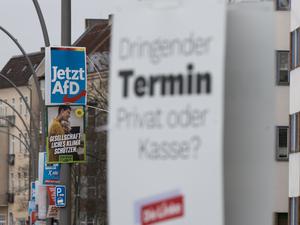 Wahlplakate der Parteien AfD, Bündnis 90/Die Grünen und Die Linke zur Teil-Wiederholung der Bundestagswahl hängen im Stadtteil Pankow an Laternenmasten.