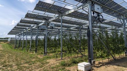 Photovoltaik könnte in Europas Landwirtschaft bald eine wichtige Rolle spielen.