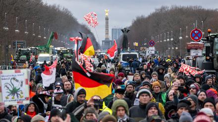 Teilnehmer der durch die Interessenvertretung ·Freie Bauern· angemeldeten Kundgebung stehen mit Schildern und Flaggen auf der Straße des 17. Juni vor dem Brandenburger Tor.