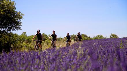Lavendel und Helme, das ist die Provence.