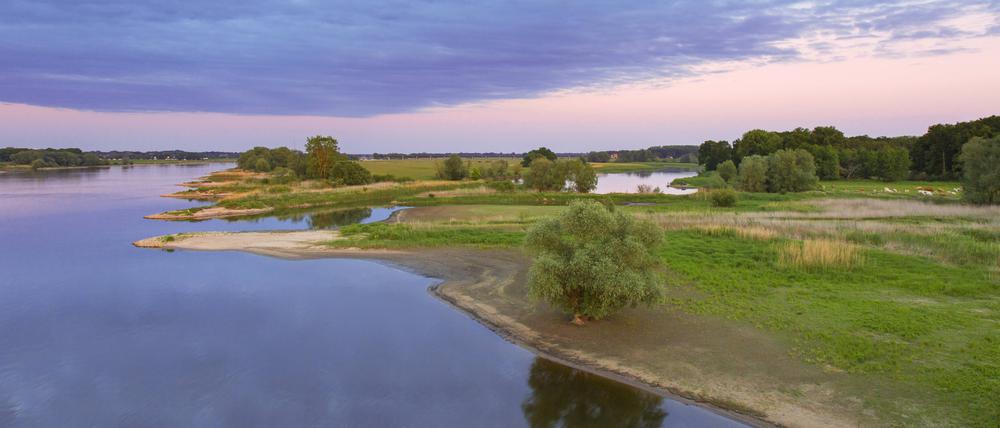 Eine Flusslandschaft der Elbe in Niedersachsen.