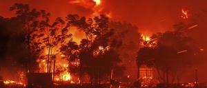 21.08.2023, Griechenland, Avantas: Das Feuer verbrennt ein Haus im Dorf in der Nähe der Stadt Alexandroupolis in der nordöstlichen Region Evros.
