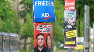 Plakate von SPD-Politiker Matthias Ecke und von der AfD hängen übereinander an einer Straße in Dresden.