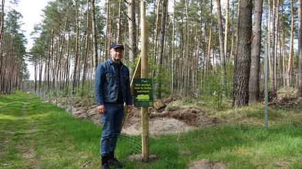 Thorsten Walter vom „Green Forest Fund“ pflanzt Bäume in Brandenburg. 