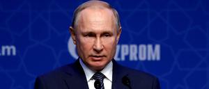Der russische Präsident Wladimir Putin nimmt an einer Zeremonie zum offiziellen Start der TurkStream-Pipeline teil.