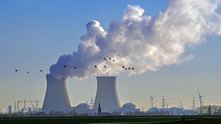 Gänse fliegen vor den Kühltürmen des Kernkraftwerks Doel, Kernkraftwerk im Hafen von Antwerpen, Flandern, Belgien.