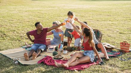 Eine Familie picknickt gemeinsam auf einer Wiese.