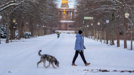 Eine Frau geht mit ihrem Hund vor der Kulisse der Siegessäule im verschneiten Tiergarten spazieren.