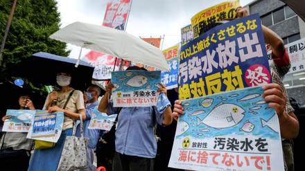Demonstranten in Tokio