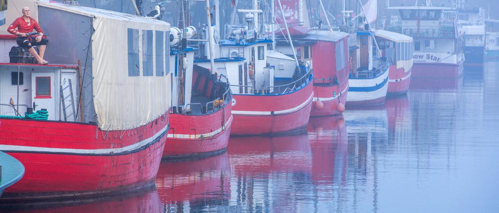 Verkaufskutter für Fisch in Rostock. Deutschland darf vom Brexit betroffene Fischereiunternehmen jetzt mit bis zu 20 Millionen Euro unterstützen.