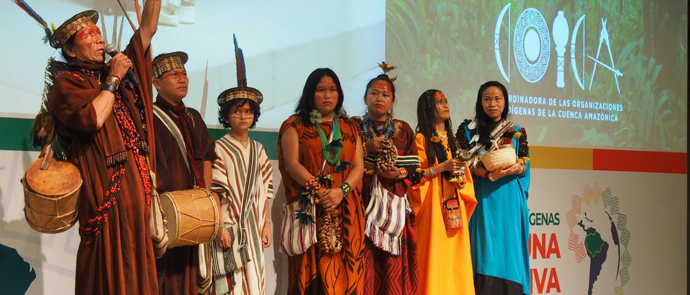 Indigener Musiker aus dem peruanischen Amazonasgebiet nimmt an der Eröffnungssitzung des 5. Amazonas-Gipfels der indigenen Völker in Lima teil.