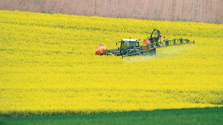 Das EU-Parlament hat für ein umfassendes Verbot gefährlicher Pflanzenschutzmittel gestimmt und damit die strengste Pestizidverordnung der Welt verabschiedet. 