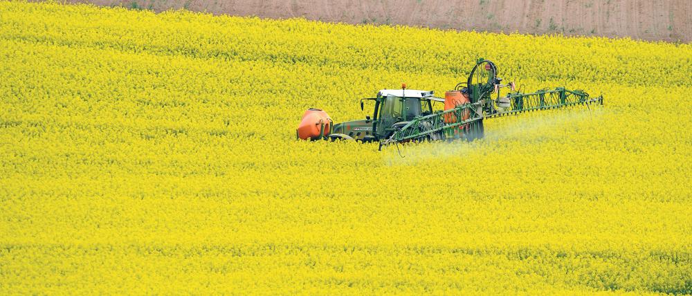 Das EU-Parlament hat für ein umfassendes Verbot gefährlicher Pflanzenschutzmittel gestimmt und damit die strengste Pestizidverordnung der Welt verabschiedet. 