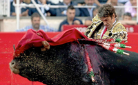Mit dem Stierkampf in der Arena soll in Katalonien Schluss sein. Die Treibjagden durch die Straßen, die "corridas", wird es aber weiterhin geben. Quelle: Foto: dpa
