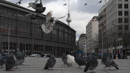 Tauben fliegen am S-Bahnhof Friedrichstraße am Dorothea-Schlegel Platz. 