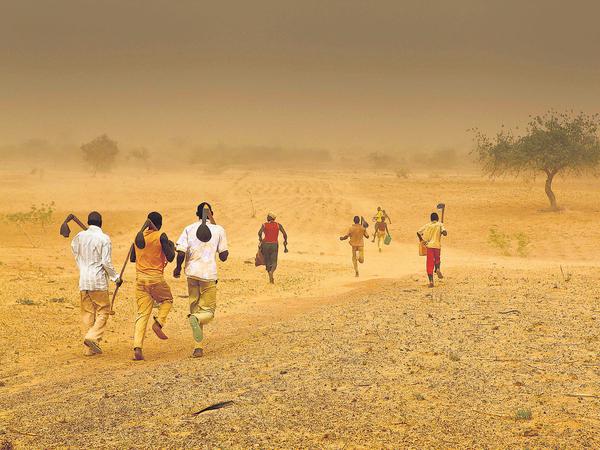 Verheerende Sandstürme in Niger: Die Klimaschwankungen in der Sahel-Zone nehmen zu.