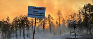 Zwei Waldbrände wüten in Mecklenburg-Vorpommern