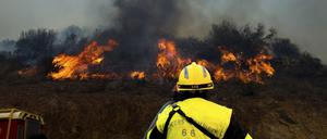 Feuerwehrmann bei den Löscharbeiten an einem Waldbrand in der Nähe von Cerbere in Südfrankreich. 