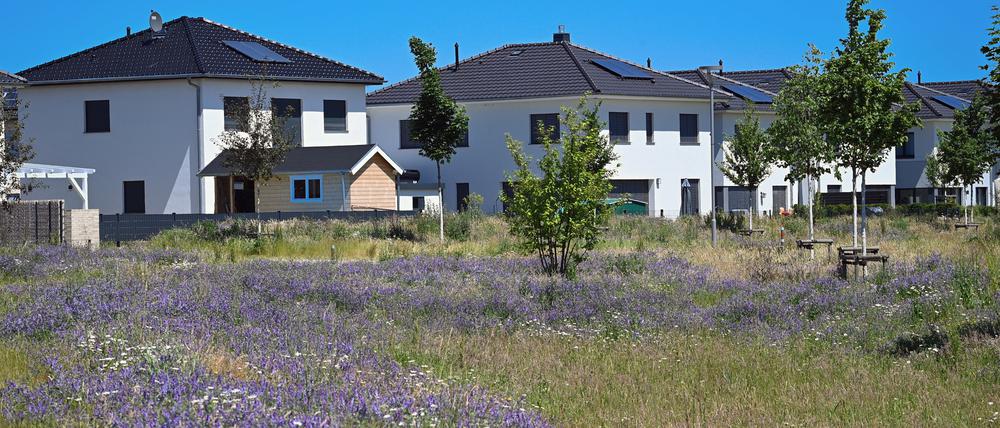 Fertige Einfamilienhäuser im Wohnviertel Rousseau-Park in Ludwigsfelde.