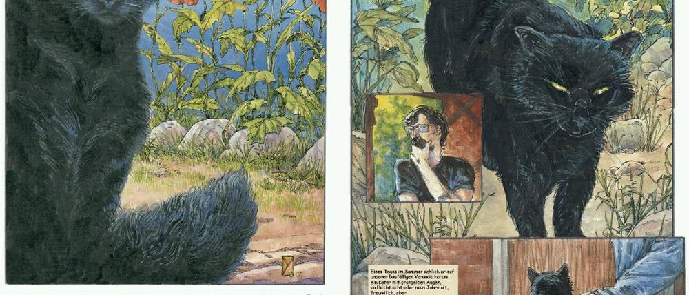 Geschöpfe der Nacht. Michael Zulli hat Neil Gaimans Kurzgeschichte bereits vor einiger Zeit als Comic umgesetzt, der auf Deutsch bei Panini erschienen ist. 