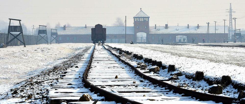 Todesgleis. Auschwitz im Winter.
