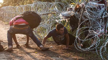 Flüchtlinge versuchen, den Grenzzaun zwischen Serbien und Ungarn zu überwinden.