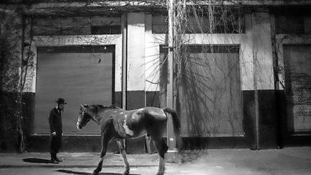 Was macht das Pferd auf der Straße? Der israelische Film "Tikkun" erzählt von der Selbstentfremdung eines orthodoxen Juden - in hyperrealistischen Schwarzweiß-Bildern.