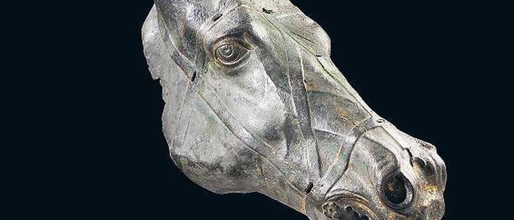 Der gelenkte Gaul: Ein bronzenen Pferdekopf aus der ersten Hälfte des ersten Jahrhunderts nach Christi, der wahrscheinlich zu einem kaiserlichen Triumphgespann gehörte. 
