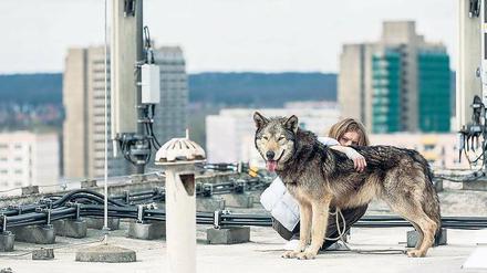 Die animalische Lovestory „Wild“ von Nicolette Krebitz feierte ihre Weltpremiere in Sundance. Der Film mit Lilith Stangenberg hatte auch eine Einladung zur Berlinale.