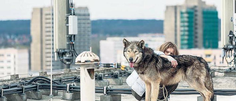 Die animalische Lovestory „Wild“ von Nicolette Krebitz feierte ihre Weltpremiere in Sundance. Der Film mit Lilith Stangenberg hatte auch eine Einladung zur Berlinale.