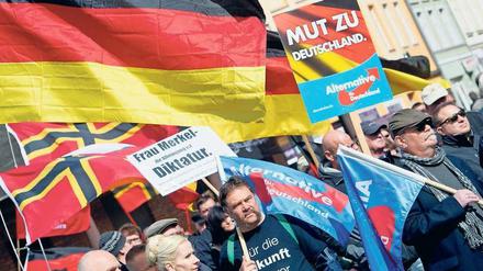 Sie nennen es Patriotismus. AfD-Anhänger demonstrieren in Stralsund. Mit der schwarz-gelb-roten „Stauffenberg-Flagge“, gekreuzt wie in Skandinavien, berufen sie sich auf das Christentum und den Widerstand gegen Hitler.