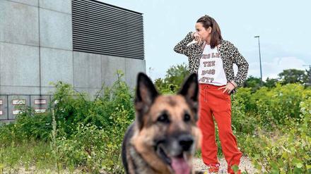 Deutschlands Gesichter. Ein Schäferhund als Symbol – und Hauptdarstellerin Katja Hiller in der Rolle der Bloggerin Claire.